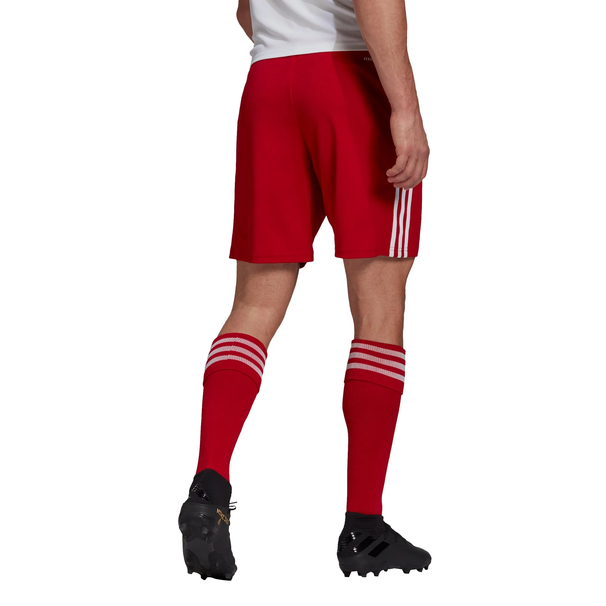 Adidas Adult Squadra 21 Shorts (Red/White)