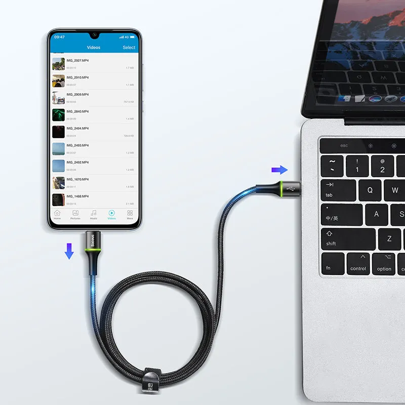 BASEUS Type-C to Type-C 60W Cable