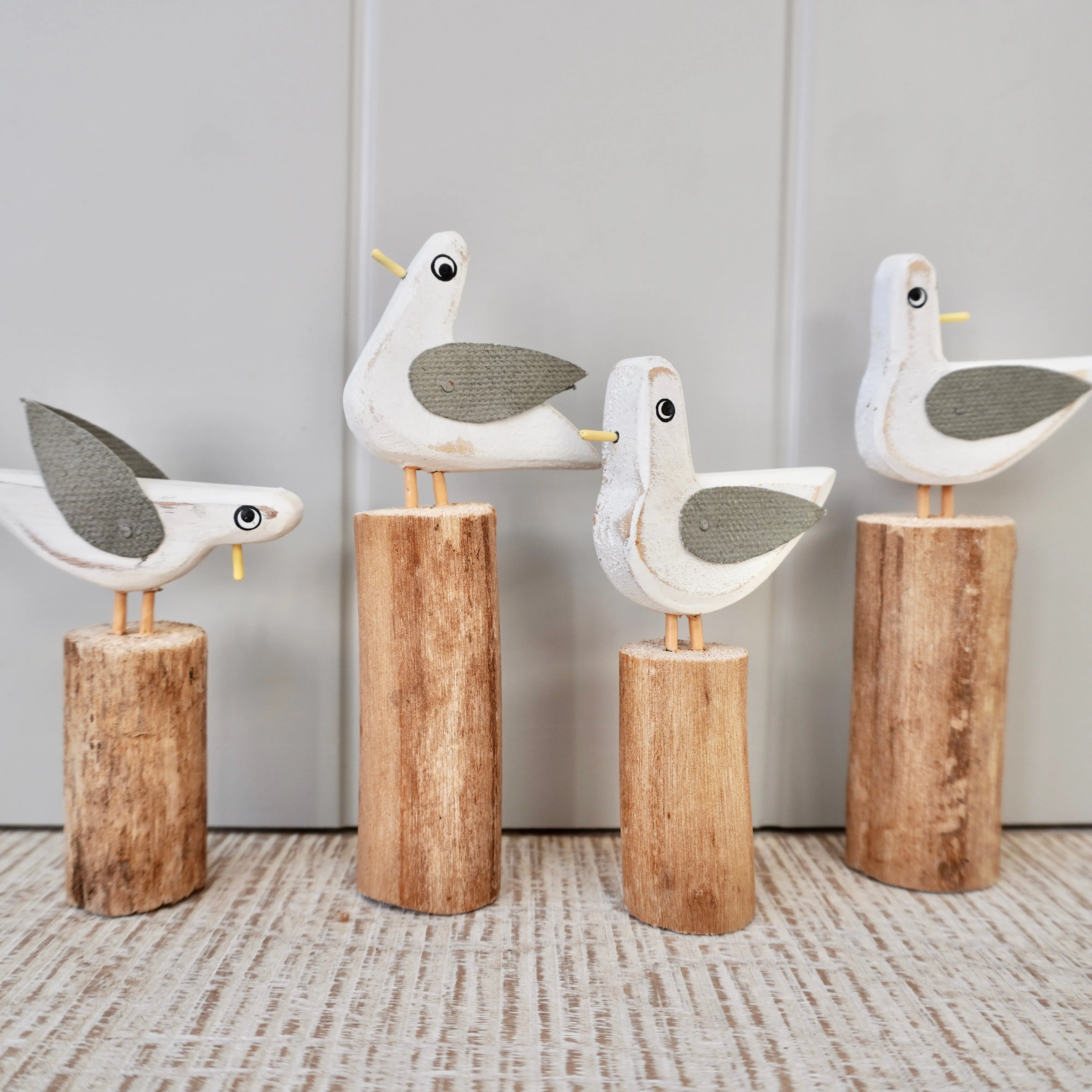 Mixed Gulls on Groynes