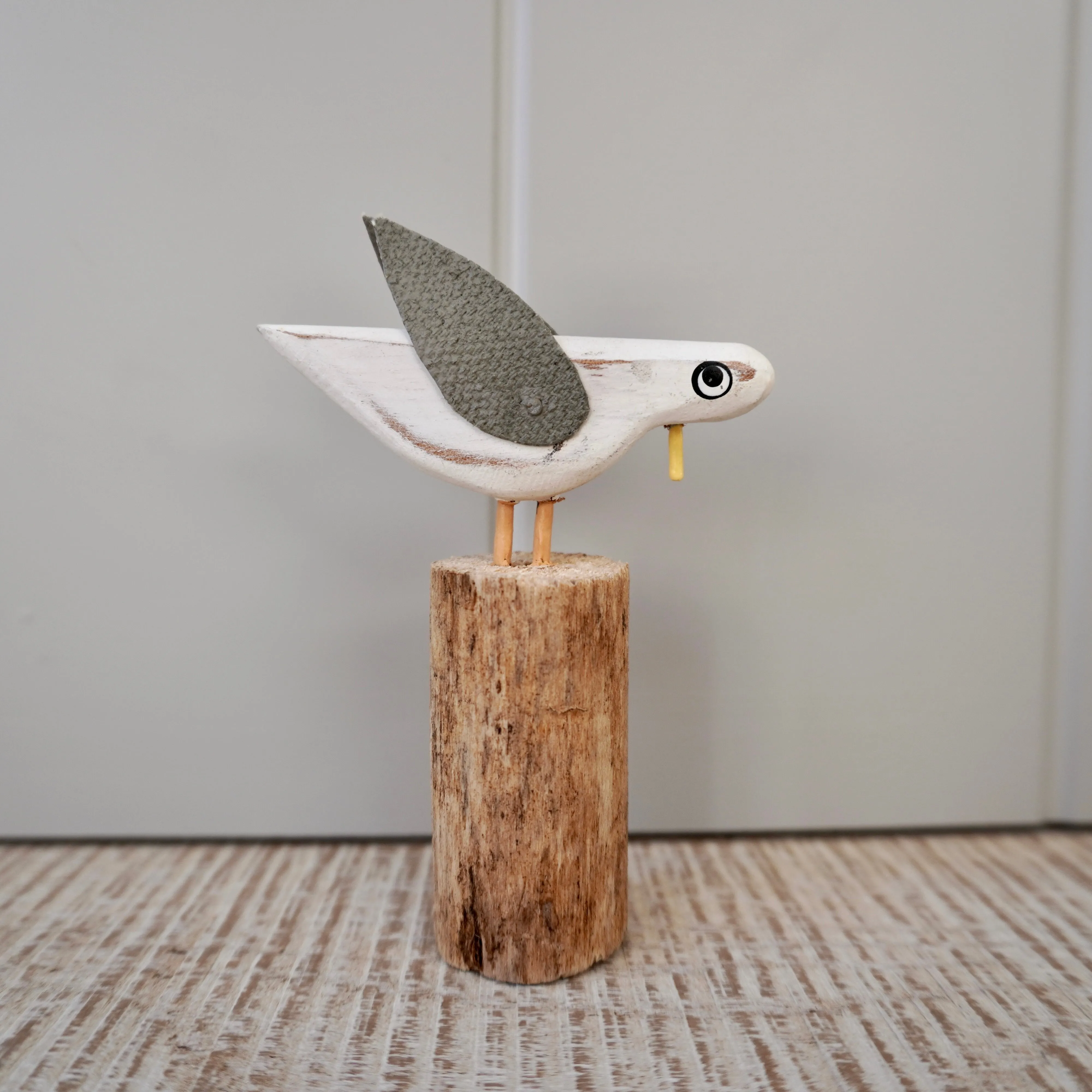 Mixed Gulls on Groynes