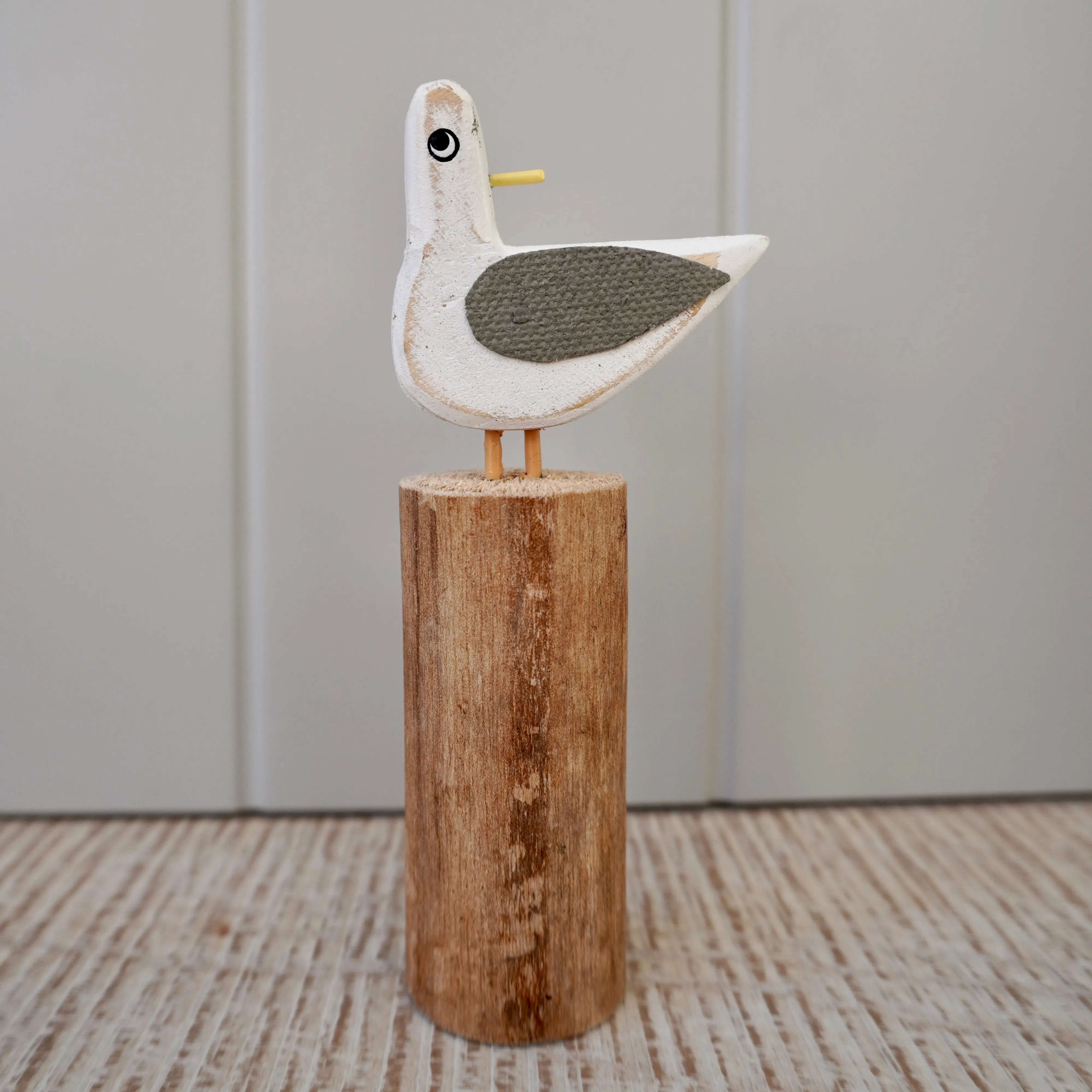 Mixed Gulls on Groynes